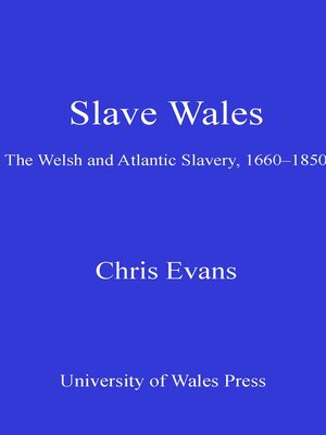 cover image of Slave Wales